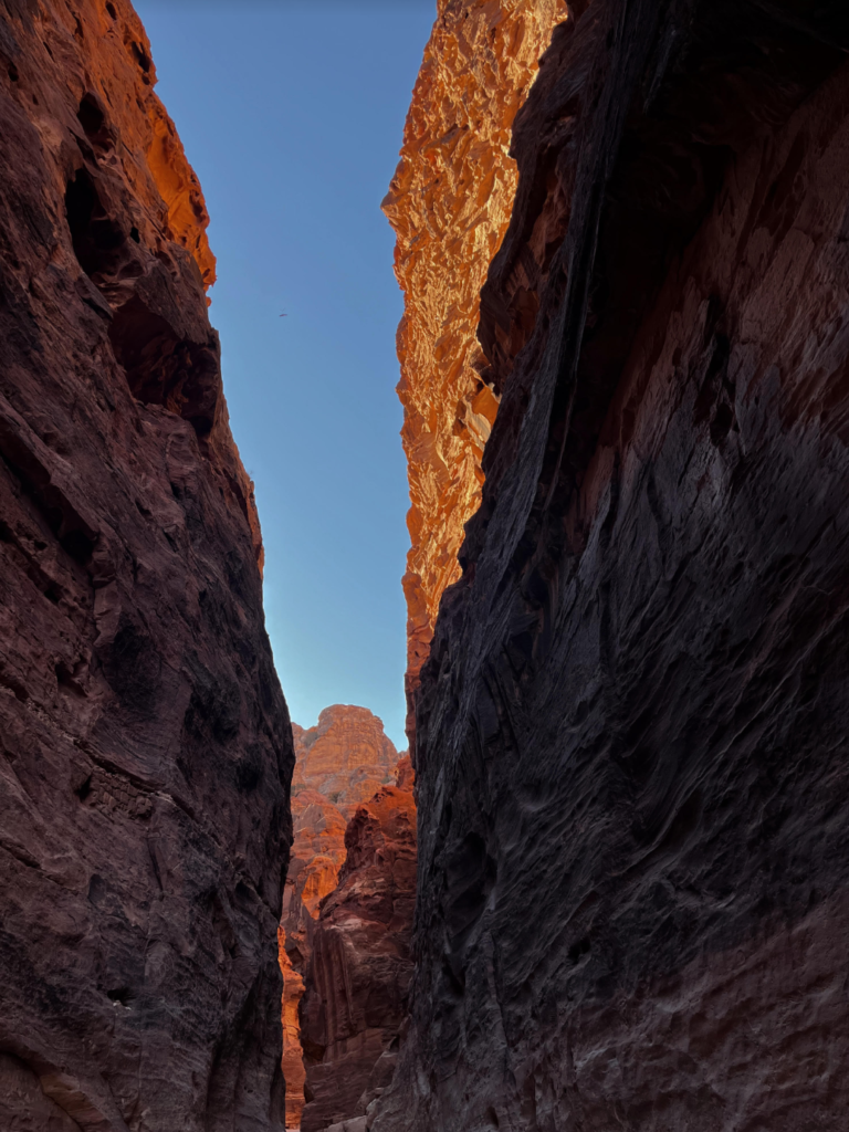 The enchanting walls of Petra's Siq.