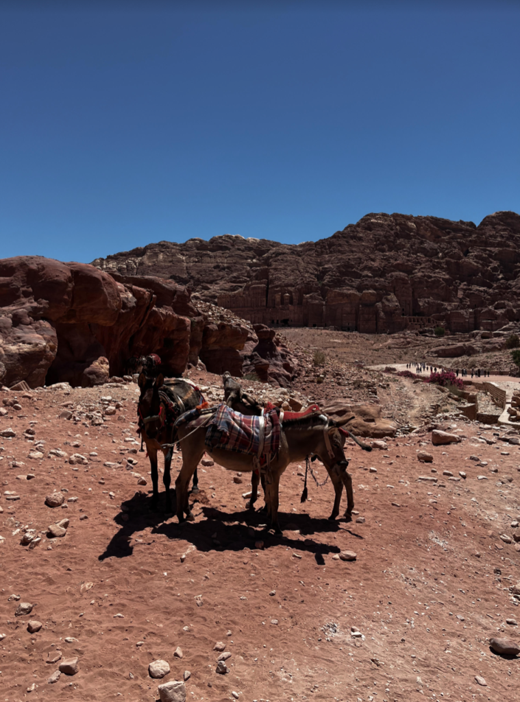 It is possible to take a donkey to the top of the Monastery.