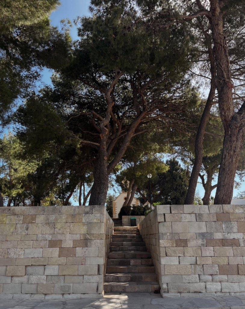 Venizelos Graves