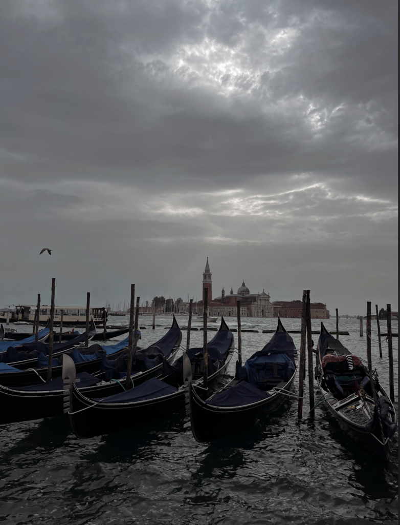 Gondolas at the waterfront of St. Mark's Square. 