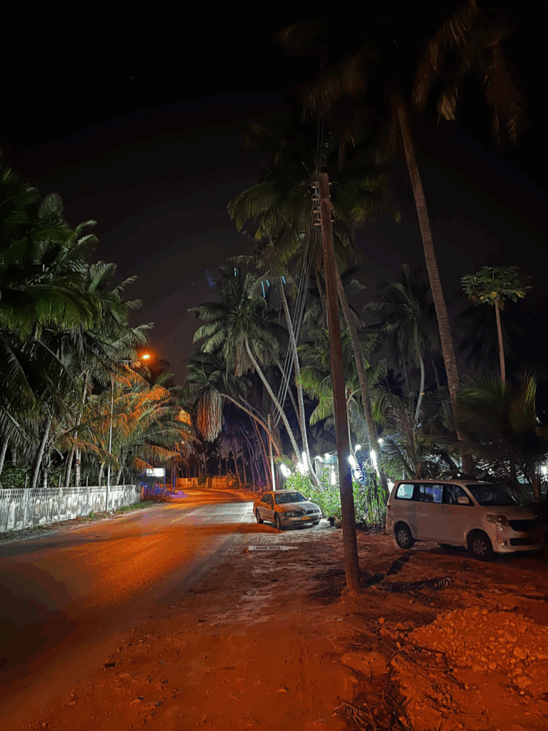 The mango and banana plantations of Salalah Oman at night.