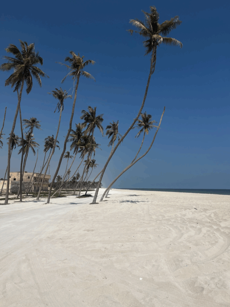 The white-sand shoreline of Salalah.