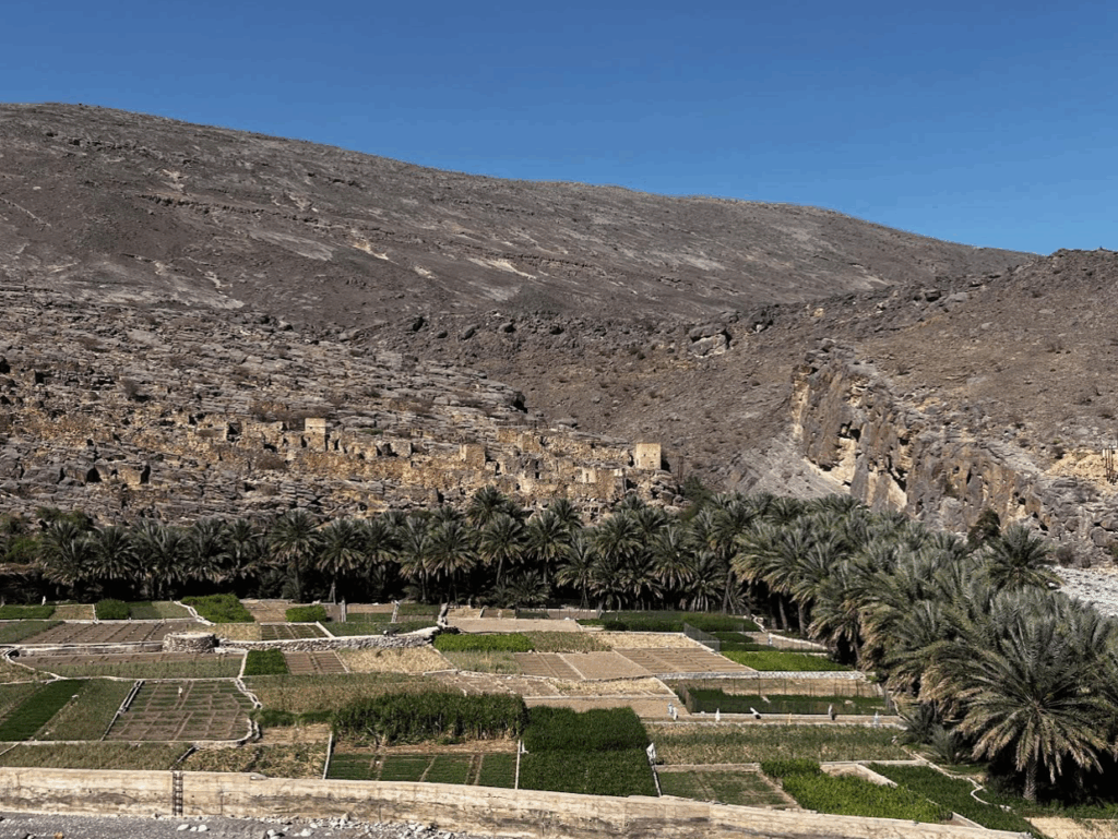 Visiting one of Omans many wadis.