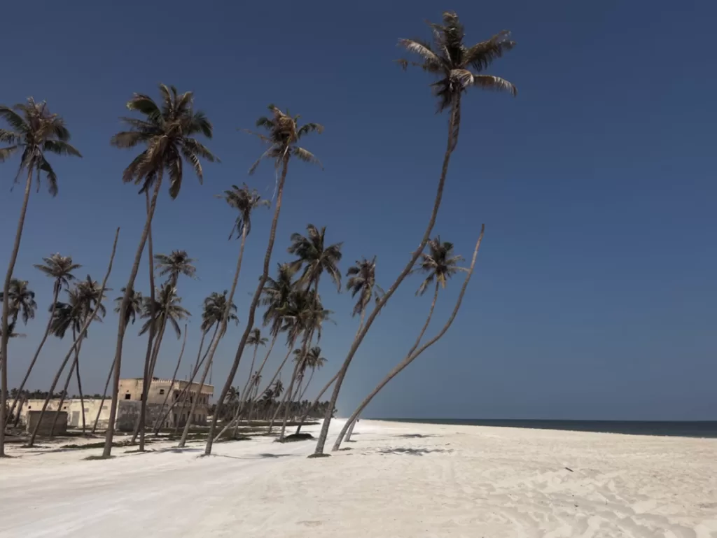 Driving on the beach in Salalah