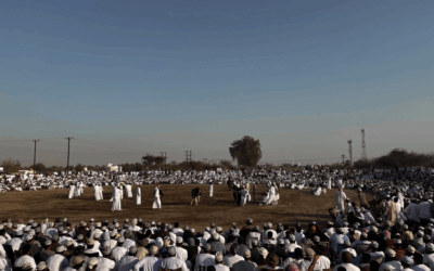 Bull fighting in Oman | A rare tradition off the beaten path