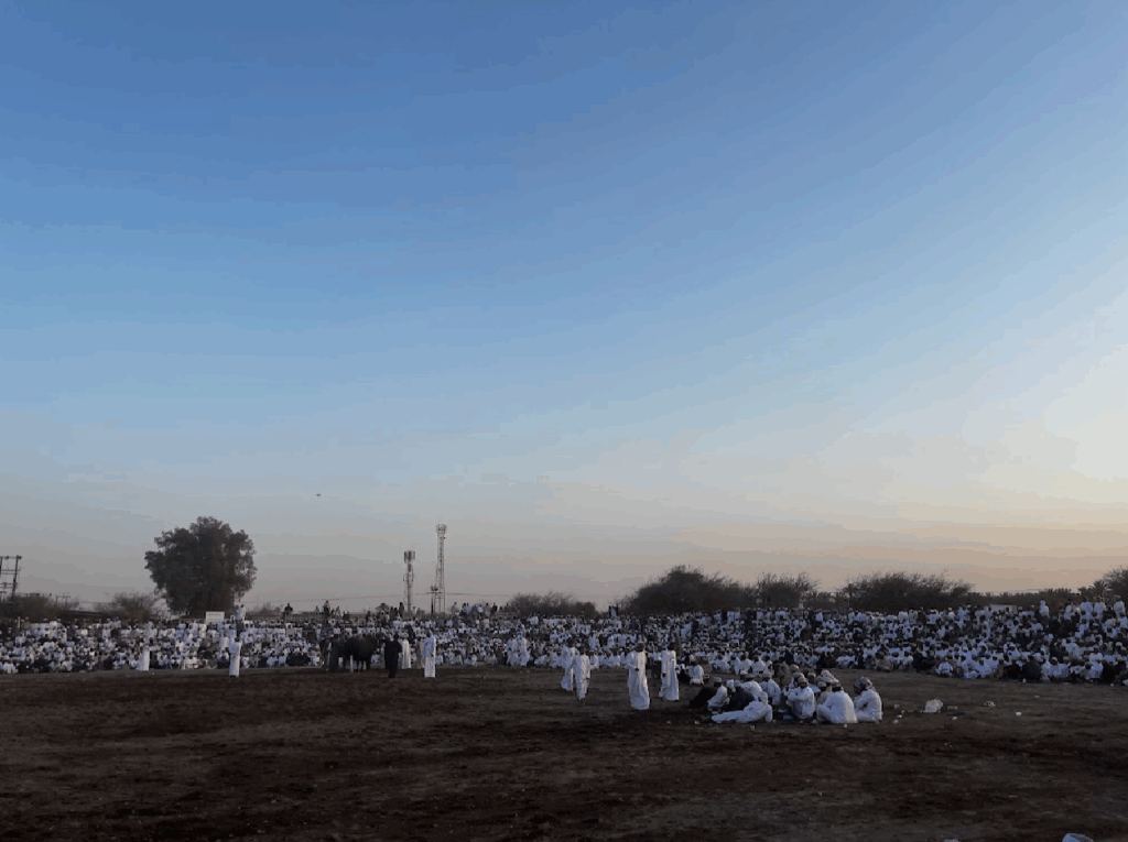Omani Bull Fights during Eid.