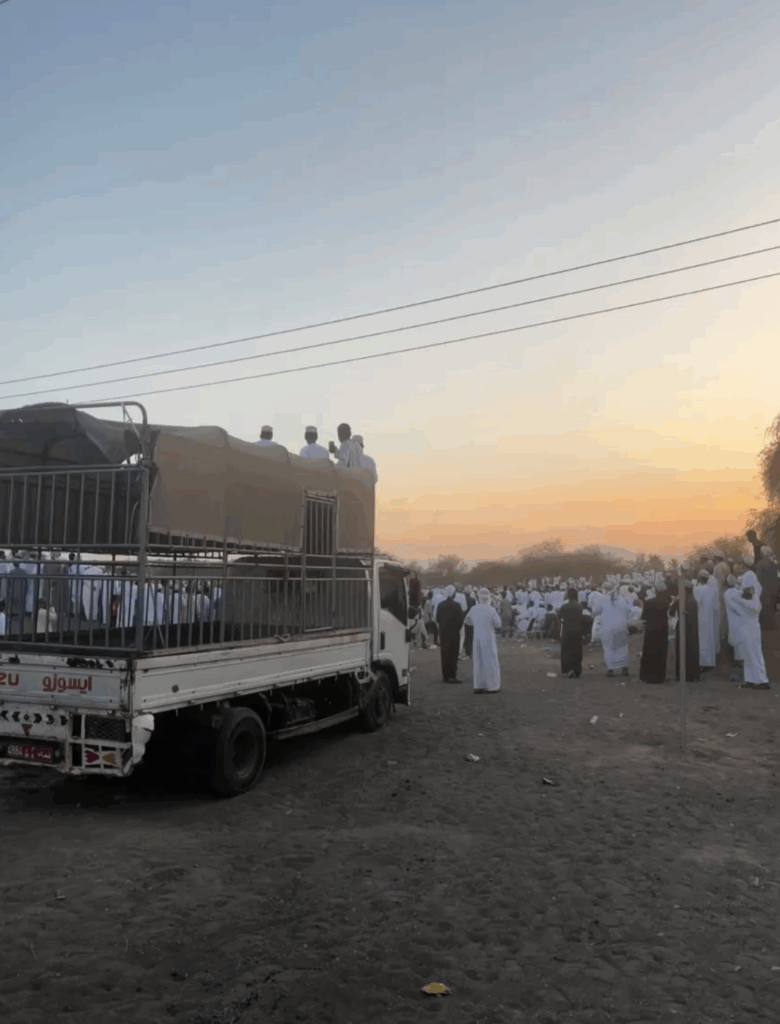 Spectators sit on a truck during a bull fight in Oman. 