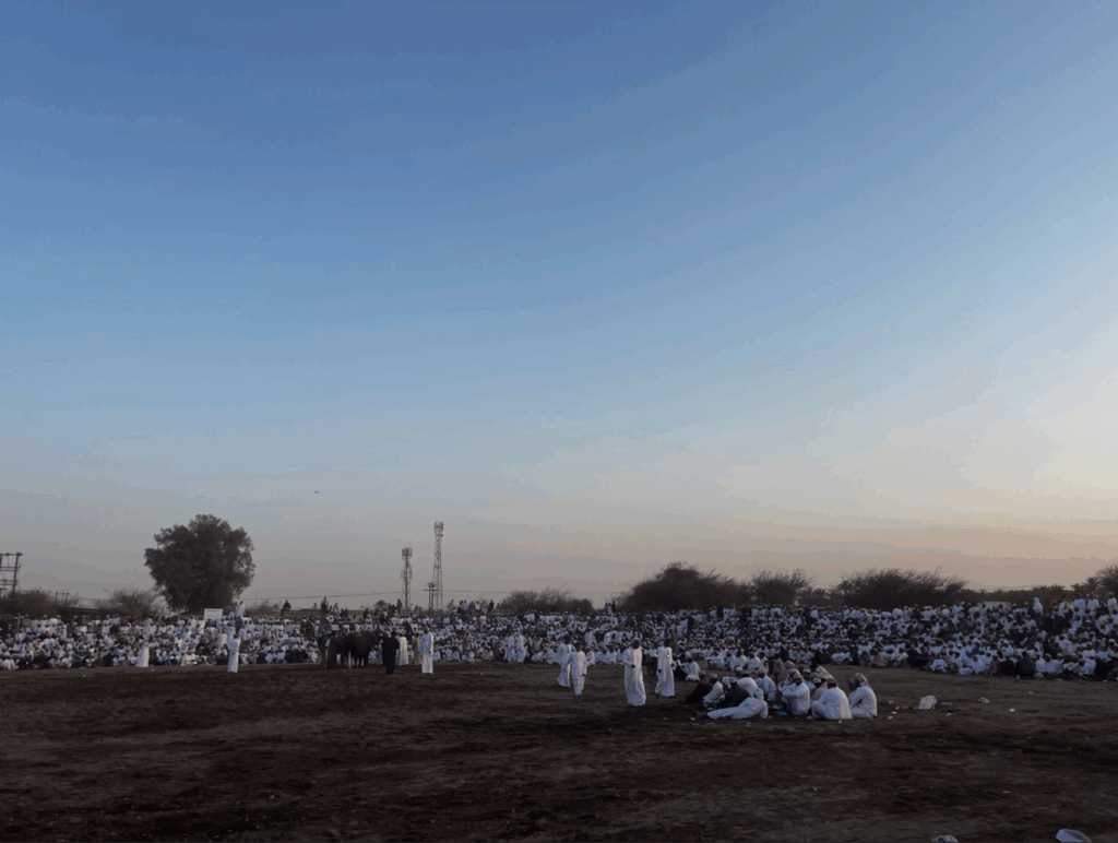 Omani Bull Fights in Liwa. It's important for solo travelers to dress appropriately for conservative and traditional cultural settings