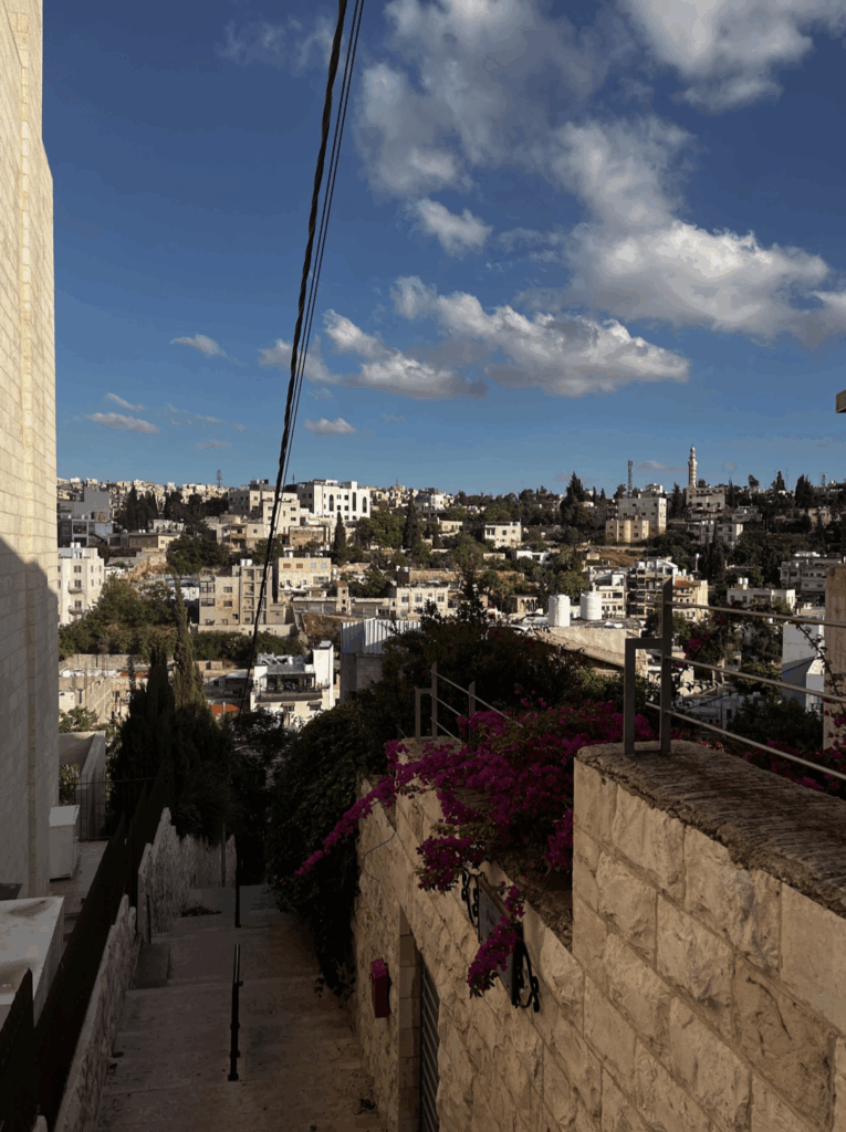 bougainvillea and ivy on stone walls in Amman