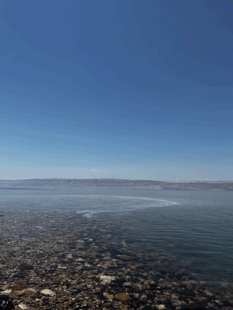 the dead sea