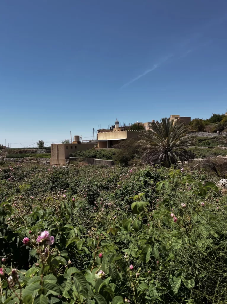 jebel akhdar has three main historic villages