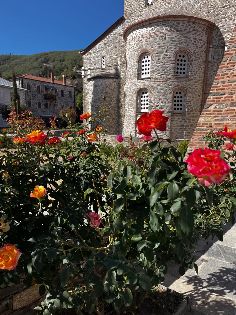 Roses at Protaton Church mount Athos