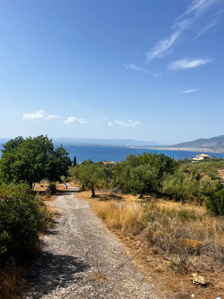 olive groves extend from the rolling hills all the way to the Mediterranean Sea in the Mani, Greece