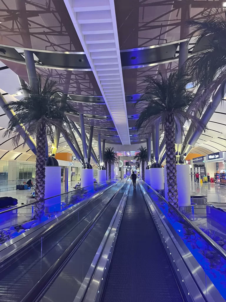 palm trees in muscat international airport oman at night 