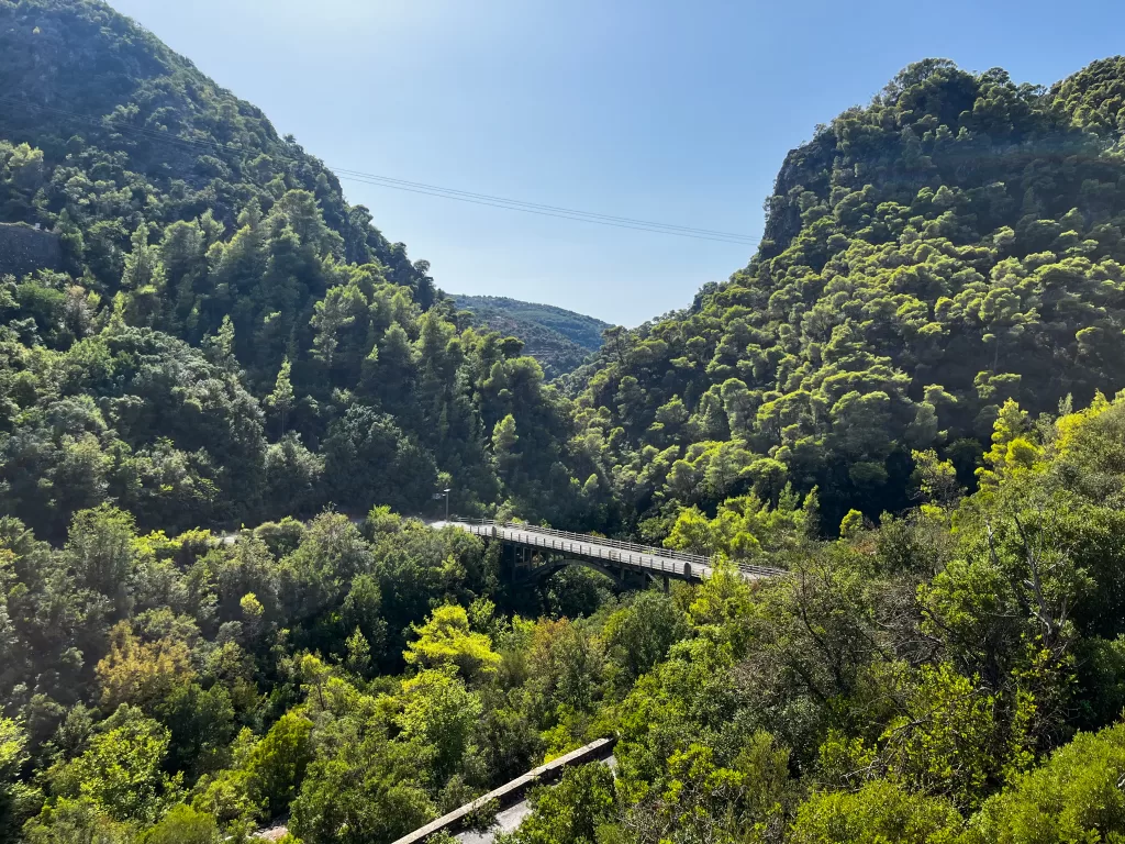 the Mani is filled with an abundance of trees