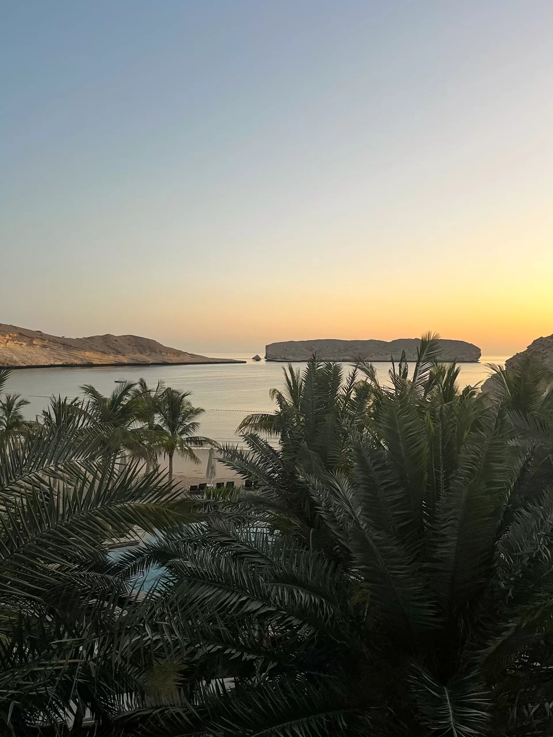 view of date palms lining the shoreline of jumeirah muscat bay